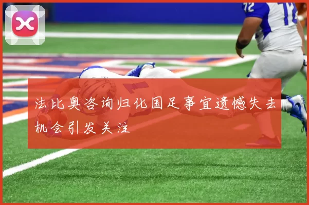 法比奥咨询归化国足事宜遗憾失去机会引发关注